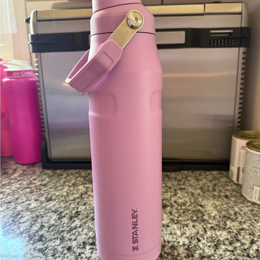 Stanley Purple Water Bottle